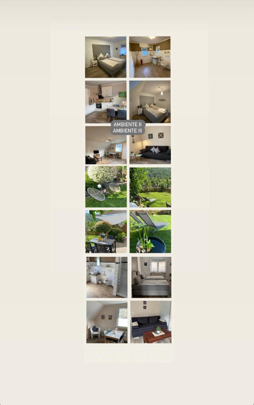 Ferienwohnung Ambiente II Und III Klotten Exterior foto